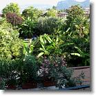 Gardasee-2007-06-19-125 * Blick auf den Garten mit seiner herrlichen Bepflanzung von unserem Hotelzimmer aus... * 3648 x 2736 * (2.73MB)