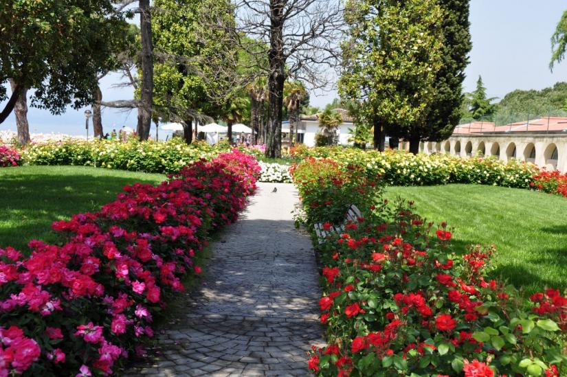 Wunderschönes Rosenbeet am Ortseingang von Lazise